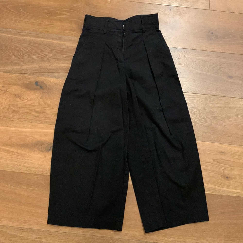 Aritzia Babaton High waisted pleated cropped chinos